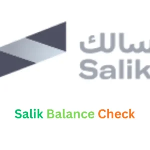 Salik Balance Check