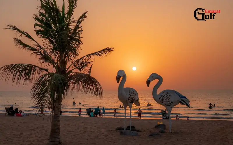 Watch the Sunset