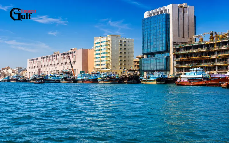 Business Environment Around Port Saeed